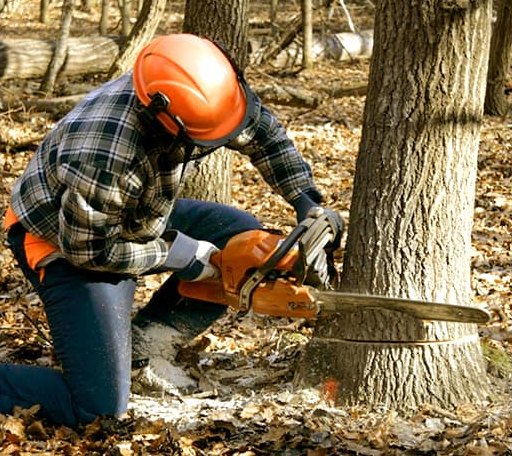 Tree Removal in Maramec, OK